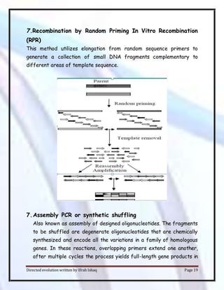 Directed evolution written by Ifrah Ishaq Page 19
7.Recombination by Random Priming In Vitro Recombination
(RPR)
This method utilizes elongation from random sequence primers to
generate a collection of small DNA fragments complementary to
different areas of template sequence.
7.Assembly PCR or synthetic shuffling
Also known as assembly of designed oligonucleotides. The fragments
to be shuffled are degenerate oligonucleotides that are chemically
synthesized and encode all the variations in a family of homologous
genes. In these reactions, overlapping primers extend one another,
after multiple cycles the process yields full-length gene products in
 