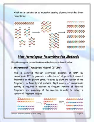 Directed evolution written by Ifrah Ishaq Page 20
which each combination of mutation bearing oligonucleotide has been
recombined.
Non-Homologous Recombination Methods
Non-Homologous recombination methods are explained below:
1.Incremental Truncation Hybrid (ITCHY)
This is achieved through controlled digestion of DNA by
exonuclease III to generate a collection of all possible truncated
fragments of the parent genes, followed by blunt end ligation of the
fragments to form hybrid proteins. Tight control of exonuclease
activity is required in addition to frequent removal of digested
fragments and quenching of the reaction, in order to collect a
variety of fragment lengths.
 