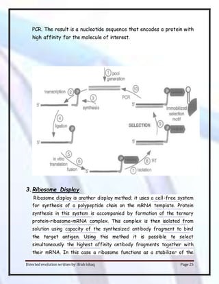 Directed evolution written by Ifrah Ishaq Page 25
PCR. The result is a nucleotide sequence that encodes a protein with
high affinity for the molecule of interest.
3.Ribosome Display
Ribosome display is another display method; it uses a cell-free system
for synthesis of a polypeptide chain on the mRNA template. Protein
synthesis in this system is accompanied by formation of the ternary
protein–ribosome–mRNA complex. This complex is then isolated from
solution using capacity of the synthesized antibody fragment to bind
the target antigen. Using this method it is possible to select
simultaneously the highest affinity antibody fragments together with
their mRNA. In this case a ribosome functions as a stabilizer of the
 