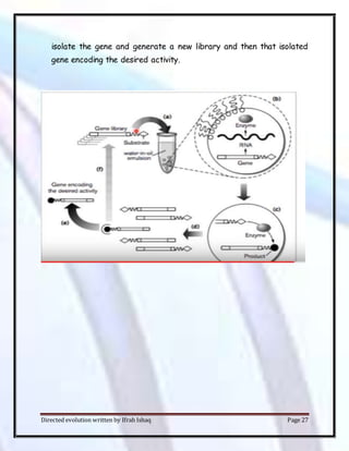 Directed evolution written by Ifrah Ishaq Page 27
isolate the gene and generate a new library and then that isolated
gene encoding the desired activity.
 
