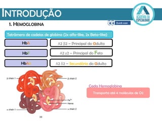 INTRODUÇÃO
1. HEMOGLOBINA
Transporta até 4 moléculas de O2
Tetrâmero de cadeias de globina (2x alfa-like, 2x Beta-like)
HbA
HbF
HbA2
Cada Hemoglobina
Α2 β2 – Principal do adulto
Α2 γ2 – Principal do Feto
Α2 δ2 – Secundária do adulto
 