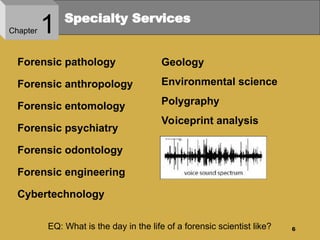 A Comprehensive Overview of Forensic Science and Its Role in the ...