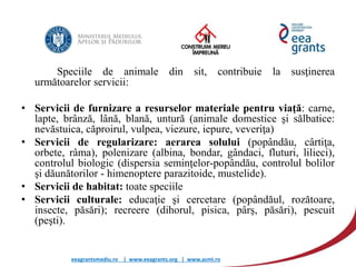 eeagrantsmediu.ro | www.eeagrants.org | www.acmi.ro
Speciile de animale din sit, contribuie la susţinerea
următoarelor servicii:
• Servicii de furnizare a resurselor materiale pentru viaţă: carne,
lapte, brânză, lână, blană, untură (animale domestice şi sălbatice:
nevăstuica, căproirul, vulpea, viezure, iepure, veveriţa)
• Servicii de regularizare: aerarea solului (popândău, cârtiţa,
orbete, râma), polenizare (albina, bondar, gândaci, fluturi, lilieci),
controlul biologic (dispersia seminţelor-popândău, controlul bolilor
şi dăunătorilor - himenoptere parazitoide, mustelide).
• Servicii de habitat: toate speciile
• Servicii culturale: educaţie şi cercetare (popândăul, rozătoare,
insecte, păsări); recreere (dihorul, pisica, pârş, păsări), pescuit
(peşti).
 