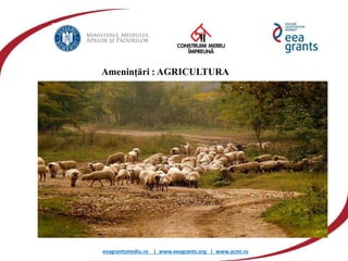 eeagrantsmediu.ro | www.eeagrants.org | www.acmi.ro
Amenințări : AGRICULTURA
 