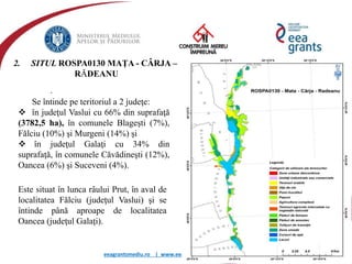 eeagrantsmediu.ro | www.eeagrants.org | www.acmi.ro
2. SITUL ROSPA0130 MAŢA - CÂRJA –
RĂDEANU
.
Se întinde pe teritoriul a 2 judeţe:
 în judeţul Vaslui cu 66% din suprafaţă
(3782,5 ha), în comunele Blageşti (7%),
Fălciu (10%) şi Murgeni (14%) şi
 în judeţul Galaţi cu 34% din
suprafaţă, în comunele Căvădineşti (12%),
Oancea (6%) şi Suceveni (4%).
Este situat în lunca râului Prut, în aval de
localitatea Fălciu (judeţul Vaslui) şi se
întinde până aproape de localitatea
Oancea (judeţul Galaţi).
 