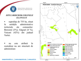 eeagrantsmediu.ro | www.eeagrants.org | www.acmi.ro
SITUL ROSCI0286 COLINELE
ELANULUI
 suprafaţa de 755 ha, situat
în unităţile administrative
teritoriale ale comunelor:
Berezeni (3%), Găgeşti (4 %),
Vutcani (42%) din judeţul
Vaslui.
 nu este atribuit în
custodieşi nu are structură de
administrare
 