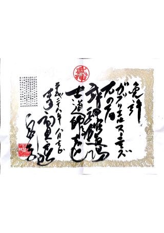 20160801-Bujinkan Shidoshi Licensed Instructor Certificate