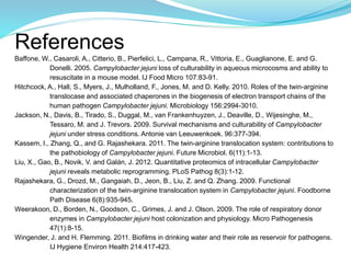References
Baffone, W., Casaroli, A., Citterio, B., Pierfelici, L., Campana, R., Vittoria, E., Guaglianone, E. and G.
Donelli. 2005. Campylobacter jejuni loss of culturability in aqueous microcosms and ability to
resuscitate in a mouse model. IJ Food Micro 107:83-91.
Hitchcock, A., Hall, S., Myers, J., Mulholland, F., Jones, M. and D. Kelly. 2010. Roles of the twin-arginine
translocase and associated chaperones in the biogenesis of electron transport chains of the
human pathogen Campylobacter jejuni. Microbiology 156:2994-3010.
Jackson, N., Davis, B., Tirado, S., Duggal, M., van Frankenhuyzen, J., Deaville, D., Wijesinghe, M.,
Tessaro, M. and J. Trevors. 2009. Survival mechanisms and culturability of Campylobacter
jejuni under stress conditions. Antonie van Leeuwenkoek. 96:377-394.
Kassem, I., Zhang, Q., and G. Rajashekara. 2011. The twin-arginine translocation system: contributions to
the pathobiology of Campylobacter jejuni. Future Microbiol. 6(11):1-13.
Liu, X., Gao, B., Novik, V. and Galán, J. 2012. Quantitative proteomics of intracellular Campylobacter
jejuni reveals metabolic reprogramming. PLoS Pathog 8(3):1-12.
Rajashekara, G., Drozd, M., Gangaiah, D., Jeon, B., Liu, Z. and Q. Zhang. 2009. Functional
characterization of the twin-arginine translocation system in Campylobacter jejuni. Foodborne
Path Disease 6(8):935-945.
Weerakoon, D., Borden, N., Goodson, C., Grimes, J. and J. Olson. 2009. The role of respiratory donor
enzymes in Campylobacter jejuni host colonization and physiology. Micro Pathogenesis
47(1):8-15.
Wingender, J. and H. Flemming. 2011. Biofilms in drinking water and their role as reservoir for pathogens.
IJ Hygiene Environ Health 214:417-423.
 