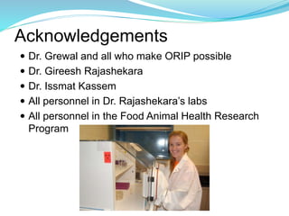 Acknowledgements
 Dr. Grewal and all who make ORIP possible
 Dr. Gireesh Rajashekara
 Dr. Issmat Kassem
 All personnel in Dr. Rajashekara’s labs
 All personnel in the Food Animal Health Research
Program
 