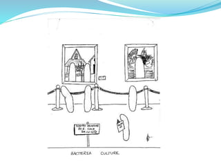 ORIP Presentation 2012