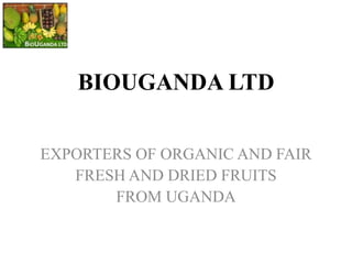 BIOUGANDA LTD
EXPORTERS OF ORGANIC AND FAIR
FRESH AND DRIED FRUITS
FROM UGANDA
 