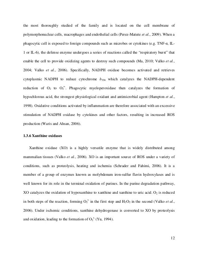 Mehtarhea201111phdthesis