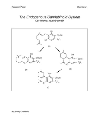 Research Paper Chambers 1
The Endogenous Cannabinoid System
Our internal healing center
By Jeremy Chambers
 