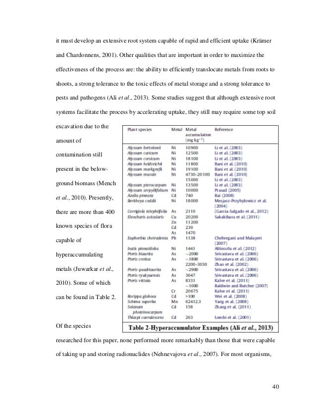 Phytoremediation thesis 07 image