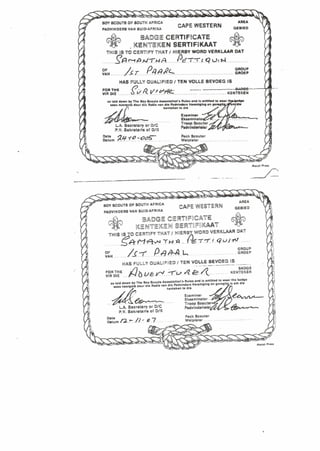 Scout Certificate2