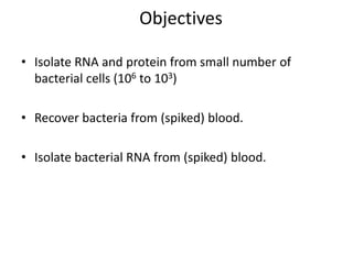 Objectives
• Isolate RNA and protein from small number of
bacterial cells (106 to 103)
• Recover bacteria from (spiked) blood.
• Isolate bacterial RNA from (spiked) blood.
 