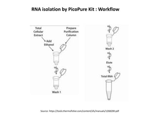 RNA isolation by PicoPure Kit : Workflow
Source: https://tools.thermofisher.com/content/sfs/manuals/1268200.pdf
 