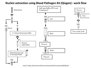 Nucleic extraction using Blood Pathogen Kit (Qiagen) : work flow
Source: https://tools.thermofisher.com/content/sfs/manuals/1268200.pdf
Whole blood
Plasma
 