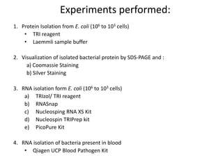 Experiments performed:
1. Protein Isolation from E. coli (106 to 103 cells)
• TRI reagent
• Laemmli sample buffer
2. Visualization of isolated bacterial protein by SDS-PAGE and :
a) Coomassie Staining
b) Silver Staining
3. RNA isolation form E. coli (106 to 103 cells)
a) TRIzol/ TRI reagent
b) RNASnap
c) Nucleosping RNA XS Kit
d) Nucleospin TRIPrep kit
e) PicoPure Kit
4. RNA isolation of bacteria present in blood
• Qiagen UCP Blood Pathogen Kit
 