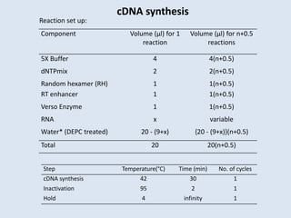 cDNA synthesis
Component Volume (µl) for 1
reaction
Volume (µl) for n+0.5
reactions
5X Buffer 4 4(n+0.5)
dNTPmix 2 2(n+0.5)
Random hexamer (RH) 1 1(n+0.5)
RT enhancer 1 1(n+0.5)
Verso Enzyme 1 1(n+0.5)
RNA x variable
Water* (DEPC treated) 20 - (9+x) {20 - (9+x)}(n+0.5)
Total 20 20(n+0.5)
Step Temperature(°C) Time (min) No. of cycles
cDNA synthesis 42 30 1
Inactivation 95 2 1
Hold 4 infinity 1
Reaction set up:
 