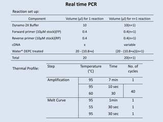 Real time PCR
Component Volume (µl) for 1 reaction Volume (µl) for n+1 reaction
Dynamo 2X Buffer 10 10(n+1)
Forward primer (10µM stock)(FP) 0.4 0.4(n+1)
Reverse primer (10µM stock)(RP) 0.4 0.4(n+1)
cDNA x variable
Water* DEPC treated 20 - (10.8+x) {20 - (10.8+x)}(n+1)
Total 20 20(n+1)
Step Temperature
(°C)
Time No. of
cycles
Amplification 95 7 min 1
95 10 sec
4060 30
Melt Curve 95 1min 1
55 30 sec 1
95 30 sec 1
Reaction set up:
Thermal Profile:
 