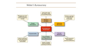 Weber’s Bureaucracy
 