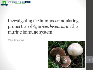 Investigating the immuno-modulating
properties of Agaricus bisporus on the
murine immune system
Mara Grigoraki
1
 