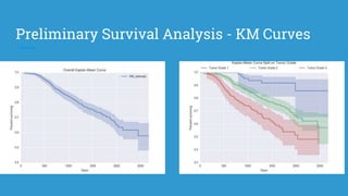 Survival Analysis Math Survival Analysis Project | PPTX