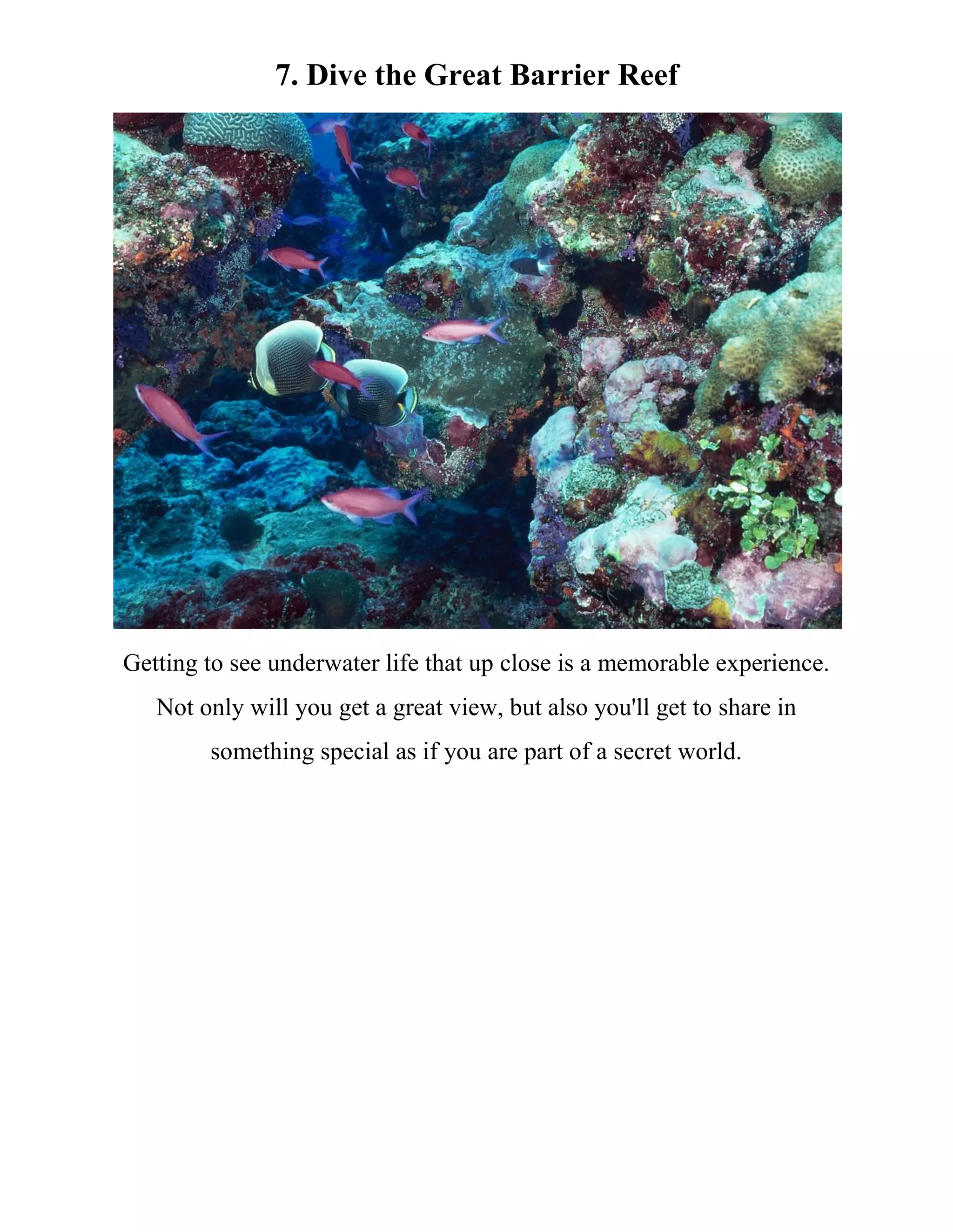 7. Dive the Great Barrier Reef
Getting to see underwater life that up close is a memorable experience.
Not only will you get a great view, but also you'll get to share in
something special as if you are part of a secret world.
 