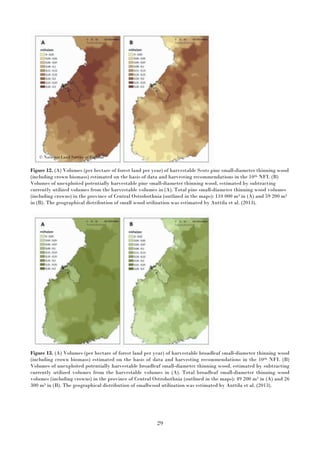 29
Figure 12. (A) Volumes (per hectare of forest land per year) of harvestable Scots pine small-diameter thinning wood
(including crown biomass) estimated on the basis of data and harvesting recommendations in the 10th NFI. (B)
Volumes of unexploited potentially harvestable pine small-diameter thinning wood, estimated by subtracting
currently utilized volumes from the harvestable volumes in (A). Total pine small-diameter thinning wood volumes
(including crowns) in the province of Central Ostrobothnia (outlined in the maps): 110 000 m3 in (A) and 59 200 m3
in (B). The geographical distribution of small wood utilization was estimated by Anttila et al. (2013).
Figure 13. (A) Volumes (per hectare of forest land per year) of harvestable broadleaf small-diameter thinning wood
(including crown biomass) estimated on the basis of data and harvesting recommendations in the 10th NFI. (B)
Volumes of unexploited potentially harvestable broadleaf small-diameter thinning wood, estimated by subtracting
currently utilized volumes from the harvestable volumes in (A). Total broadleaf small-diameter thinning wood
volumes (including crowns) in the province of Central Ostrobothnia (outlined in the maps): 49 200 m3 in (A) and 26
300 m3 in (B). The geographical distribution of smallwood utilization was estimated by Anttila et al. (2013).
© National Land Survey of Finland
 