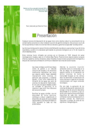 Fitodepuracion espanol