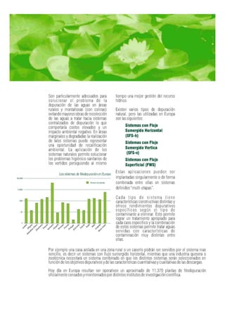Fitodepuracion espanol