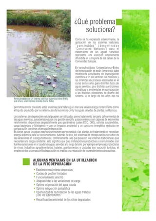 Fitodepuracion espanol