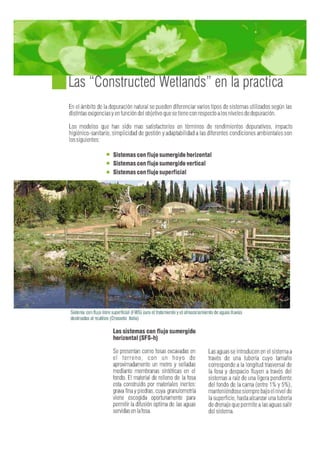 Fitodepuracion espanol
