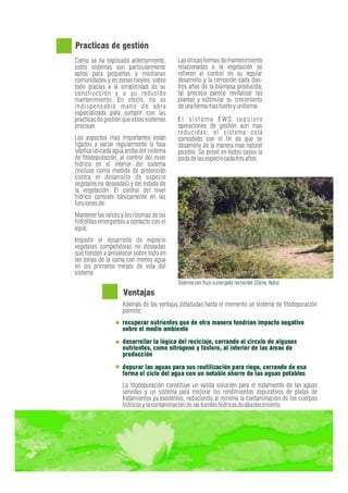 Fitodepuracion espanol