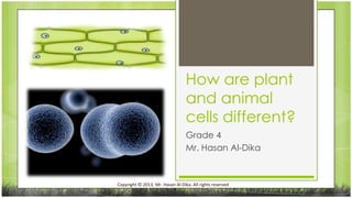 How are plant
and animal
cells different?
Grade 4
Mr. Hasan Al-Dika

Copyright © 2013, Mr. Hasan Al-Dika. All rights reserved

 
