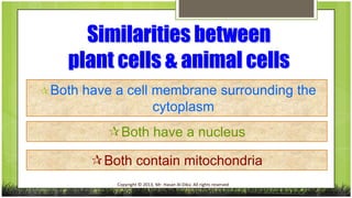 Similarities between
plant cells & animal cells
 Both

have a cell membrane surrounding the
cytoplasm

Both have a nucleus
Both contain mitochondria
Copyright © 2013, Mr. Hasan Al-Dika. All rights reserved

 