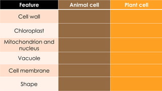 Feature

Cell wall
Chloroplast
Mitochondrion and
nucleus
Vacuole
Cell membrane
Shape

Animal cell

Plant cell

 