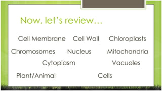 Now, let’s review…
Cell Membrane
Chromosomes

Cell Wall
Nucleus

Cytoplasm
Plant/Animal

Chloroplasts
Mitochondria

Vacuoles
Cells

 