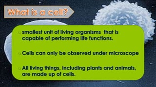  smallest

unit of living organisms that is
capable of performing life functions.

 Cells

can only be observed under microscope

 All

living things, including plants and animals,
are made up of cells.
Copyright © 2013, Mr. Hasan Al-Dika. All rights reserved

 