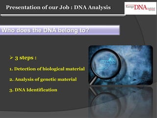 Presentation of our Job : DNA Analysis
 3 steps :
1. Detection of biological material
2. Analysis of genetic material
3. DNA Identification
Who does the DNA belong to?
 