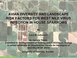 AVIAN DIVERSITY AND LANDSCAPEAVIAN DIVERSITY AND LANDSCAPE
RISK FACTORS FOR WEST NILE VIRUSRISK FACTORS FOR WEST NILE VIRUS
INFECTION IN HOUSE SPARROWSINFECTION IN HOUSE SPARROWS
ByBy
Lara M. JuliussonLara M. Juliusson
An Honors ThesisAn Honors Thesis
Submitted to the Department of Ecology and Evolutionary BiologySubmitted to the Department of Ecology and Evolutionary Biology
in partial fulfillment for departmental honors for the degree ofin partial fulfillment for departmental honors for the degree of
BACHELOR OF ARTSBACHELOR OF ARTS
University of Colorado, BoulderUniversity of Colorado, Boulder
 