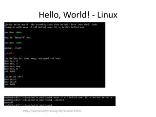 Hello, World! - Linux
http://opensecuritytraining.info/Exploits1.html
 