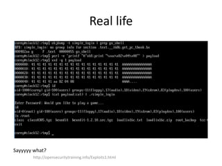 Real life
Sayyyyy what?
http://opensecuritytraining.info/Exploits1.html
 