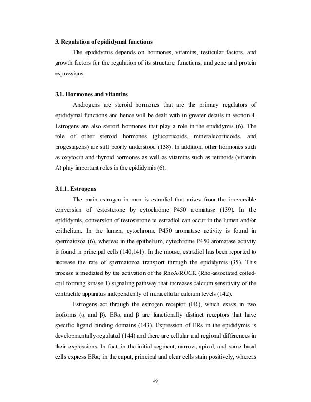 Artificial neural network master thesis Artificial neural network master thesis image