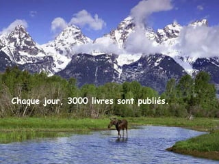 Chaque jour, 3000 livres sont publiés.
 