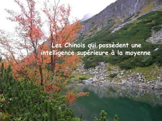 Les Chinois qui possèdent une
intelligence supérieure à la moyenne
 