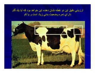 ‫ﮔﺎو‬ ‫ﻳﻚ‬ ‫ﺁﻳﺎ‬ ‫آﻪ‬ ‫ﺑﻮد‬ ‫ﺧﻮاهﺪ‬ ‫اﻳﻦ‬ ‫دهﻨﺪﻩ‬ ‫ﻥﺸﺎن‬ ‫ﻥﻘﻄﻪ‬ ‫دو‬ ‫اﻳﻦ‬ ‫دﻗﻴﻖ‬ ‫ارزﻳﺎﺑﻲ‬‫ﮔﺎو‬ ‫ﻳﻚ‬ ‫ﺁﻳﺎ‬ ‫آﻪ‬ ‫ﺑﻮد‬ ‫ﺧﻮاهﺪ‬ ‫اﻳﻦ‬ ‫دهﻨﺪﻩ‬ ‫ﻥﺸﺎن‬ ‫ﻥﻘﻄﻪ‬ ‫دو‬ ‫اﻳﻦ‬ ‫دﻗﻴﻖ‬ ‫ارزﻳﺎﺑﻲ‬
‫ﺑﺪﻥﻲ‬ ‫وﺿﻌﻴﺖ‬ ‫ﻥﻤﺮﻩ‬ ‫داراي‬‫ﺑﺪﻥﻲ‬ ‫وﺿﻌﻴﺖ‬ ‫ﻥﻤﺮﻩ‬ ‫داراي‬‫زﻳﺎد‬‫زﻳﺎد‬‫اﺳﺖ‬‫اﺳﺖ‬‫ﻳﺎ‬ ‫و‬‫ﻳﺎ‬ ‫و‬‫آﻢ‬‫آﻢ‬
 