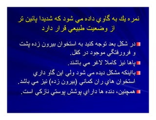 ‫ﺕﺮ‬ ‫ﭘﺎﺋﻴﻦ‬ ‫ﺷﺪﻳﺪا‬ ‫آﻪ‬ ‫ﺷﻮد‬ ‫ﻣﻲ‬ ‫دادﻩ‬ ‫ﮔﺎوي‬ ‫ﺑﻪ‬ ‫ﻳﻚ‬ ‫ﻥﻤﺮﻩ‬‫ﺕﺮ‬ ‫ﭘﺎﺋﻴﻦ‬ ‫ﺷﺪﻳﺪا‬ ‫آﻪ‬ ‫ﺷﻮد‬ ‫ﻣﻲ‬ ‫دادﻩ‬ ‫ﮔﺎوي‬ ‫ﺑﻪ‬ ‫ﻳﻚ‬ ‫ﻥﻤﺮﻩ‬
‫وﺿﻌﻴﺖ‬ ‫از‬‫وﺿﻌﻴﺖ‬ ‫از‬‫ﻃﺒﻴﻌﻲ‬‫ﻃﺒﻴﻌﻲ‬‫دارد‬ ‫ﻗﺮار‬‫دارد‬ ‫ﻗﺮار‬
‫ﺑﻌﺪ‬ ‫ﺷﻜﻞ‬ ‫در‬‫ﺑﻌﺪ‬ ‫ﺷﻜﻞ‬ ‫در‬‫ﭘﺸﺖ‬ ‫زدﻩ‬ ‫ﺑﻴﺮون‬ ‫اﺳﺘﺨﻮان‬ ‫ﺑﻪ‬ ‫آﻨﻴﺪ‬ ‫ﺕﻮﺝﻪ‬‫ﭘﺸﺖ‬ ‫زدﻩ‬ ‫ﺑﻴﺮون‬ ‫اﺳﺘﺨﻮان‬ ‫ﺑﻪ‬ ‫آﻨﻴﺪ‬ ‫ﺕﻮﺝﻪ‬
‫آﻔﻞ‬ ‫در‬ ‫ﻣﻮﺝﻮد‬ ‫ﻓﺮورﻓﺘﮕﻲ‬ ‫و‬‫آﻔﻞ‬ ‫در‬ ‫ﻣﻮﺝﻮد‬ ‫ﻓﺮورﻓﺘﮕﻲ‬ ‫و‬..
‫ﺑﺎﺷﻨﺪ‬ ‫ﻣﻲ‬ ‫ﻻﻏﺮ‬ ‫آﺎﻣﻼ‬ ‫ﻥﻴﺰ‬ ‫ﭘﺎهﺎ‬‫ﺑﺎﺷﻨﺪ‬ ‫ﻣﻲ‬ ‫ﻻﻏﺮ‬ ‫آﺎﻣﻼ‬ ‫ﻥﻴﺰ‬ ‫ﭘﺎهﺎ‬..
‫داري‬ ‫ﮔﺎو‬ ‫اﻳﻦ‬ ‫وﻟﻲ‬ ‫ﺷﻮد‬ ‫ﻣﻲ‬ ‫دﻳﺪﻩ‬ ‫ﻣﺸﻜﻞ‬ ‫ﺑﺎاﻳﻨﻜﻪ‬‫داري‬ ‫ﮔﺎو‬ ‫اﻳﻦ‬ ‫وﻟﻲ‬ ‫ﺷﻮد‬ ‫ﻣﻲ‬ ‫دﻳﺪﻩ‬ ‫ﻣﺸﻜﻞ‬ ‫ﺑﺎاﻳﻨﻜﻪ‬
‫آﻤﺎﻥﻲ‬ ‫ران‬ ‫هﺎي‬ ‫اﺳﺘﺨﻮان‬‫آﻤﺎﻥﻲ‬ ‫ران‬ ‫هﺎي‬ ‫اﺳﺘﺨﻮان‬))‫زدﻩ‬ ‫ﺑﻴﺮون‬‫زدﻩ‬ ‫ﺑﻴﺮون‬((‫ﺑﺎﺷﺪ‬ ‫ﻣﻲ‬ ‫ﻥﻴﺰ‬‫ﺑﺎﺷﺪ‬ ‫ﻣﻲ‬ ‫ﻥﻴﺰ‬..
‫ﻥﺎزآﻲ‬ ‫ﭘﻮﺳﺘﻲ‬ ‫ﭘﻮﺷﺶ‬ ‫داراي‬ ‫هﺎ‬ ‫دﻥﺪﻩ‬ ،‫هﻤﭽﻨﻴﻦ‬‫ﻥﺎزآﻲ‬ ‫ﭘﻮﺳﺘﻲ‬ ‫ﭘﻮﺷﺶ‬ ‫داراي‬ ‫هﺎ‬ ‫دﻥﺪﻩ‬ ،‫هﻤﭽﻨﻴﻦ‬‫اﺳﺖ‬‫اﺳﺖ‬..
 