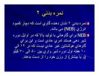 ‫ﺑﺪﻥﻲ‬ ‫ﻥﻤﺮﻩ‬‫ﺑﺪﻥﻲ‬ ‫ﻥﻤﺮﻩ‬٢٢
‫ﺑﺪﻥﻲ‬ ‫ﻥﻤﺮﻩ‬‫ﺑﺪﻥﻲ‬ ‫ﻥﻤﺮﻩ‬٢٢‫دﭼﺎر‬ ‫آﻪ‬ ‫اﺳﺖ‬ ‫ﮔﺎوي‬ ‫دهﻨﺪﻩ‬ ‫ﻥﺸﺎن‬‫دﭼﺎر‬ ‫آﻪ‬ ‫اﺳﺖ‬ ‫ﮔﺎوي‬ ‫دهﻨﺪﻩ‬ ‫ﻥﺸﺎن‬‫آﻤﺒﻮد‬‫آﻤﺒﻮد‬
‫اﻥﺮژي‬‫اﻥﺮژي‬))NEBNEB((‫ﺑﺎﺷﺪ‬ ‫ﻣﻲ‬‫ﺑﺎﺷﺪ‬ ‫ﻣﻲ‬..
NEBNEB‫او‬ ‫در‬ ‫آﻪ‬ ‫ﺑﺎﻻ‬ ‫ﺕﻮﻟﻴﺪ‬ ‫ﺑﺎ‬ ‫ﮔﺎوهﺎﺋﻲ‬ ‫ﺑﺮاي‬‫او‬ ‫در‬ ‫آﻪ‬ ‫ﺑﺎﻻ‬ ‫ﺕﻮﻟﻴﺪ‬ ‫ﺑﺎ‬ ‫ﮔﺎوهﺎﺋﻲ‬ ‫ﺑﺮاي‬‫ا‬‫ا‬‫دورﻩ‬ ‫ﻳﻞ‬‫دورﻩ‬ ‫ﻳﻞ‬
‫هﺴﺘﻨﺪ‬ ‫دهﻲ‬ ‫ﺷﻴﺮ‬‫هﺴﺘﻨﺪ‬ ‫دهﻲ‬ ‫ﺷﻴﺮ‬‫اﻣﺮي‬‫اﻣﺮي‬‫ﺑﺮاي‬ ‫اﻳﻦ‬ ‫و‬ ‫اﺳﺖ‬ ‫ﻋﺎدي‬‫ﺑﺮاي‬ ‫اﻳﻦ‬ ‫و‬ ‫اﺳﺖ‬ ‫ﻋﺎدي‬
‫در‬ ‫آﻪ‬ ‫ﻥﻴﺴﺖ‬ ‫ﻋﺎدي‬ ‫ﻏﻴﺮ‬ ‫هﻮﻟﺸﺘﺎﻳﻦ‬ ‫ﮔﺎوهﺎي‬‫در‬ ‫آﻪ‬ ‫ﻥﻴﺴﺖ‬ ‫ﻋﺎدي‬ ‫ﻏﻴﺮ‬ ‫هﻮﻟﺸﺘﺎﻳﻦ‬ ‫ﮔﺎوهﺎي‬١٢١٢‫اﻟﻲ‬‫اﻟﻲ‬
١٠١٠‫ﺑﻴﻦ‬ ‫واري‬ ‫ﺷﻴﺮ‬ ‫دورﻩ‬ ‫اول‬ ‫هﻔﺘﻪ‬‫ﺑﻴﻦ‬ ‫واري‬ ‫ﺷﻴﺮ‬ ‫دورﻩ‬ ‫اول‬ ‫هﻔﺘﻪ‬۵٠۵٠‫اﻟﻲ‬‫اﻟﻲ‬٧٠٧٠‫آﻴﻠﻮ‬‫آﻴﻠﻮ‬
))‫ﺑﻴﺸﺘﺮ‬ ‫ﻳﺎ‬ ‫و‬‫ﺑﻴﺸﺘﺮ‬ ‫ﻳﺎ‬ ‫و‬((‫ﺑﺪهﻨﺪ‬ ‫دﺳﺖ‬ ‫از‬ ‫را‬ ‫ﺧﻮد‬ ‫وزن‬ ‫از‬‫ﺑﺪهﻨﺪ‬ ‫دﺳﺖ‬ ‫از‬ ‫را‬ ‫ﺧﻮد‬ ‫وزن‬ ‫از‬..
 